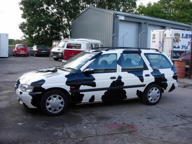 cow car 37.jpg