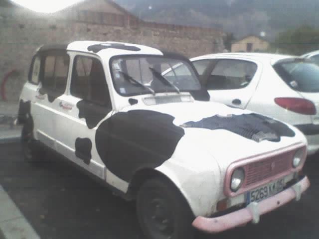 cow car 38.jpg