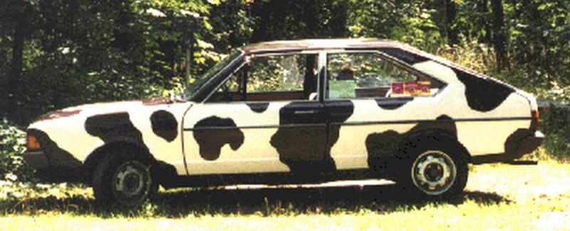 cow car 41.jpg