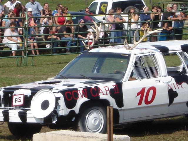 cow car 43.jpg