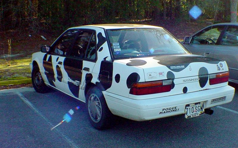 cow car 45.jpg