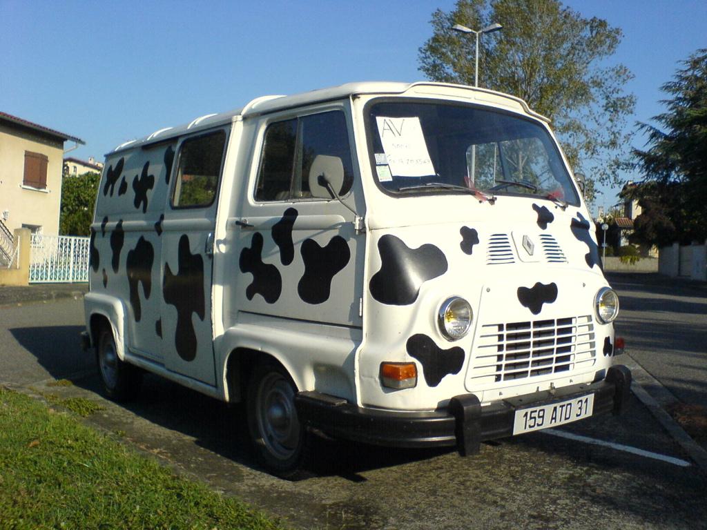 cow car 47.jpg