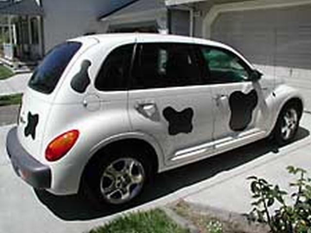cow car 49.jpg