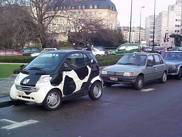 cow car 50.jpg