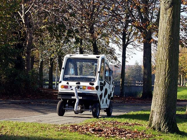 cow car 51.jpg