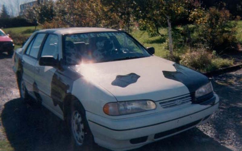 cow car 53.jpg