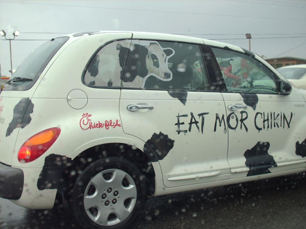 cow car 54.jpg