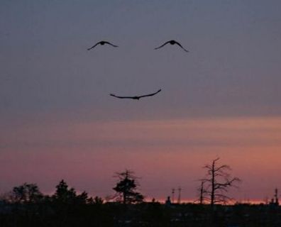 smile.jpg