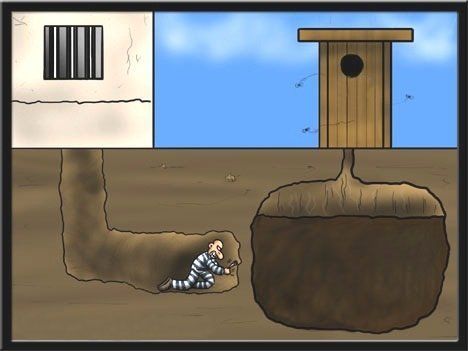 prison break.jpg