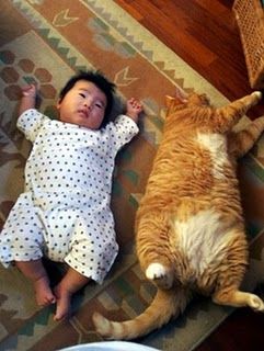 baby-cat-nobodycallsmethat.jpg