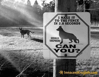 funny-dog-warning-sign.jpg