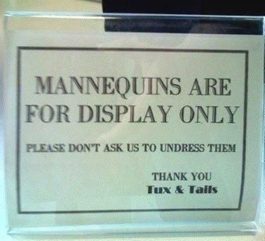 funny-pictures.jpg