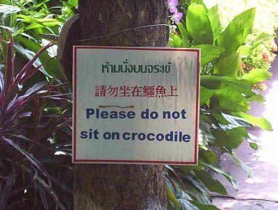 please.dont.sit.-crocodile.jpg