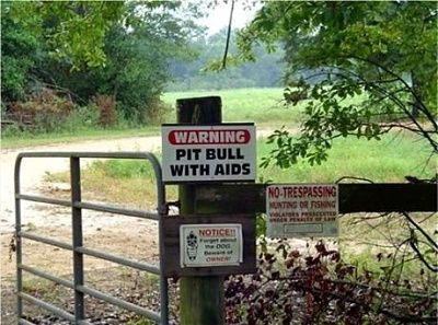 pitbull.jpg