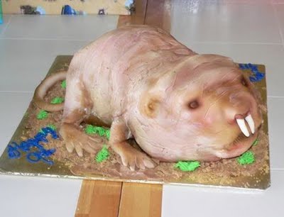 Mole-Rate-Cake-1.jpg