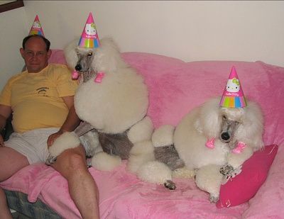 best-birthday-party-ever.jpg
