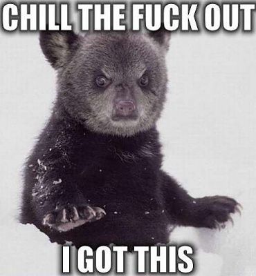 bear.jpg