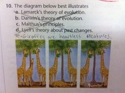 81284403.jpg