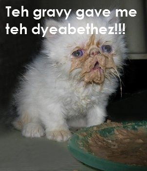 funny_cat_pictures_313.jpg