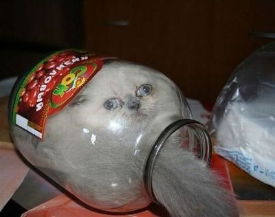e2d5c3d0_acid_picdump_66.jpg