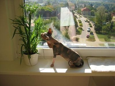 awkward-reflection-picture.jpg