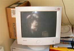 ebay pc screen.jpg