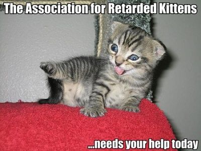 lol-catz.jpg