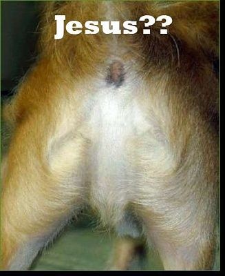 best-photos-ever-24.jpg
