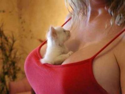 lucky_pussy.jpg