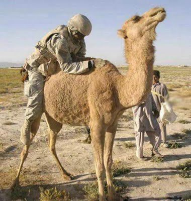 From_the_Army_with_humor_22.jpg