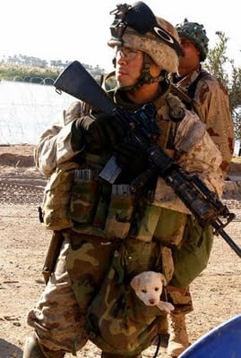 From_the_Army_with_humor_56.jpg