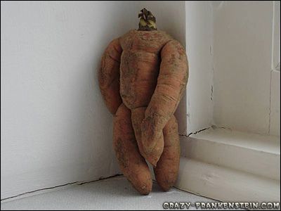 handsome-body-vegetables.jpg