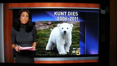 kunt.....i-mean-knut-014.jpg