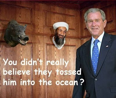 osama-resst-story.jpg