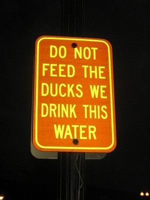 bizarre-signs-0.jpg