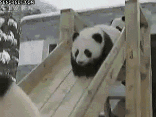 1306688175312.gif
