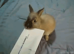 1306725501311.gif