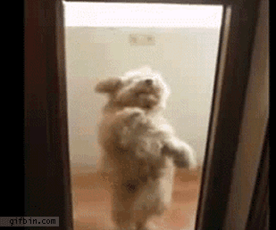 1306928145214.gif