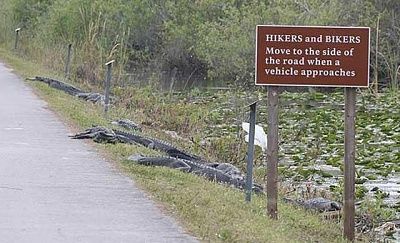 hikers-bikers.jpg