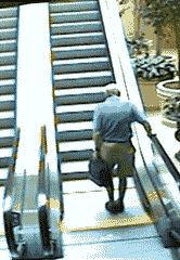 escalator_fail.gif