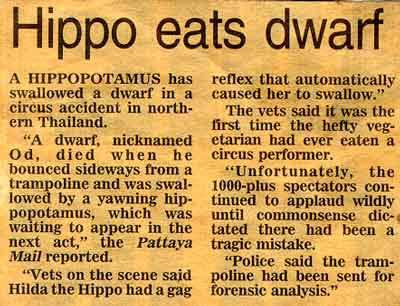 dwarf hippo.jpg