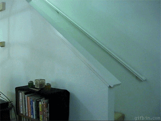 Paranormal Cativity.gif