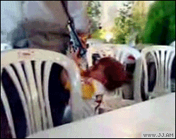accident.gif