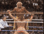 4916562847.gif