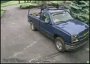 0500454856.gif