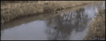 7b85ea25d81ec98511b7559.gif