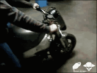 Motorcycle_newb.gif
