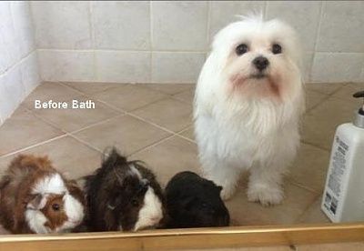 bath.jpg
