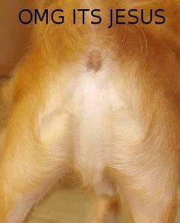 dog butt jesus.jpg
