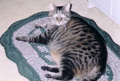fat5.jpg